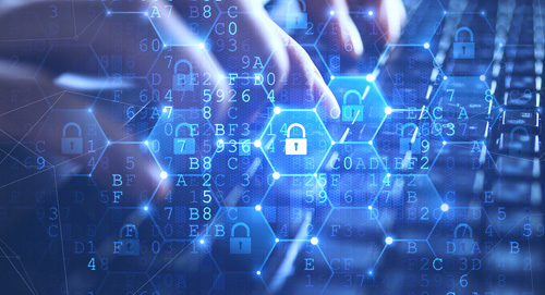 網(wǎng)絡(luò)安全手抄報(bào)的句子，網(wǎng)絡(luò)安全手抄報(bào)內(nèi)容簡單句子